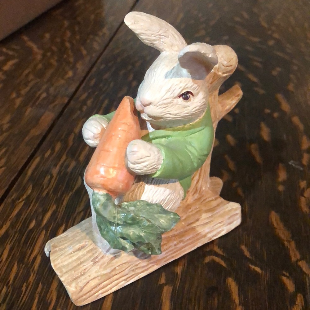 Sweet Bunny Rabbit